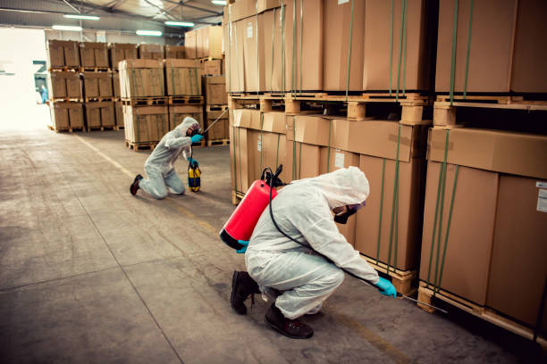 Best Cockroach Control Services  in Timmonsville, SC