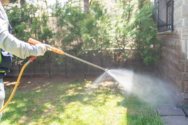 Spider Control Near Me in Timmonsville, SC