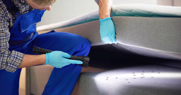 Best Exterminator Services  in Timmonsville, SC
