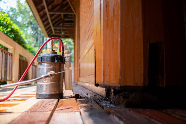 Best Mosquito Control Services  in Timmonsville, SC