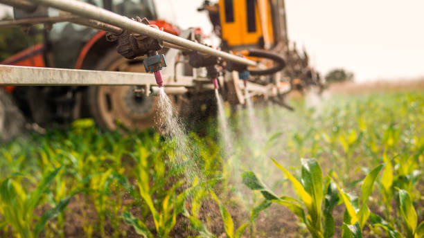 Pest Control Cost in Timmonsville, SC