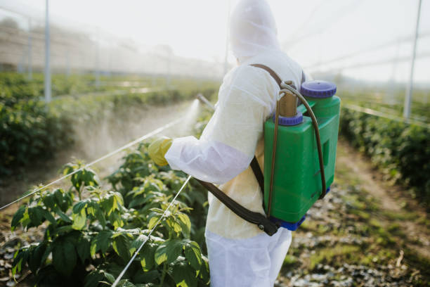 Best Pest Prevention Services  in Timmonsville, SC